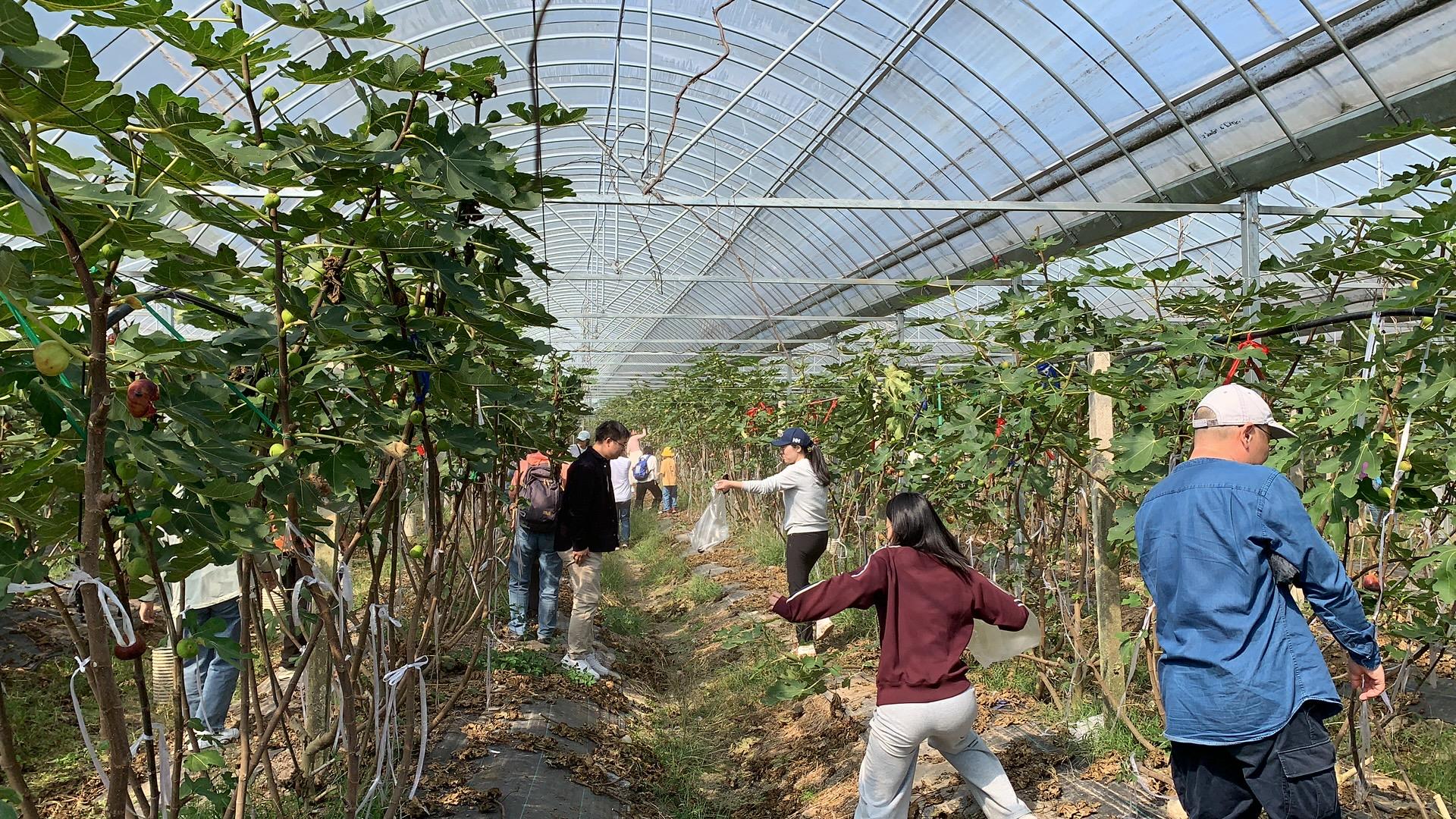 澳门六合彩资料库