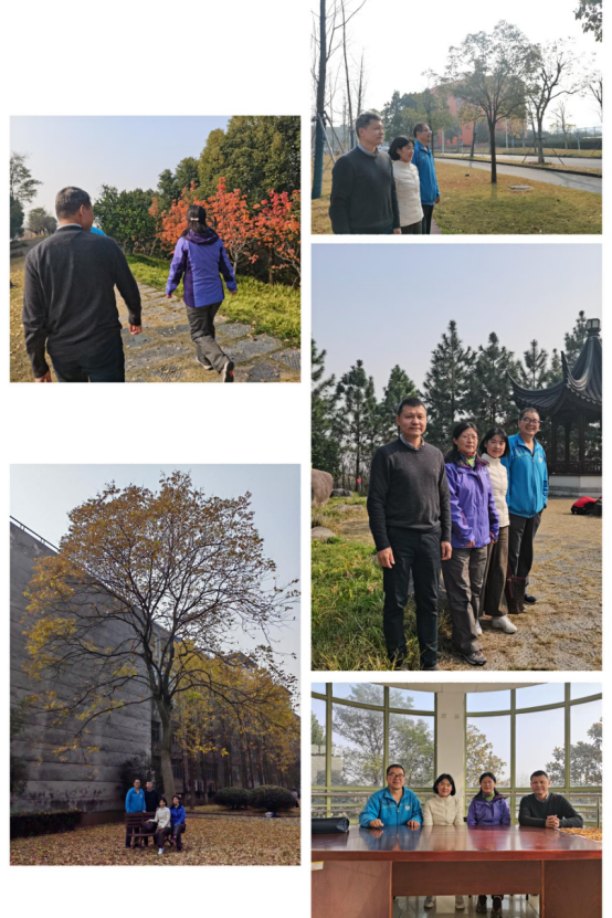 澳门六合彩资料库